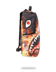 FIRE MONEY SHARK