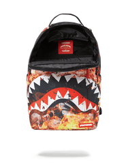 FIRE MONEY SHARK