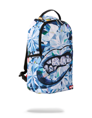 SPENSIVE BACKPACK